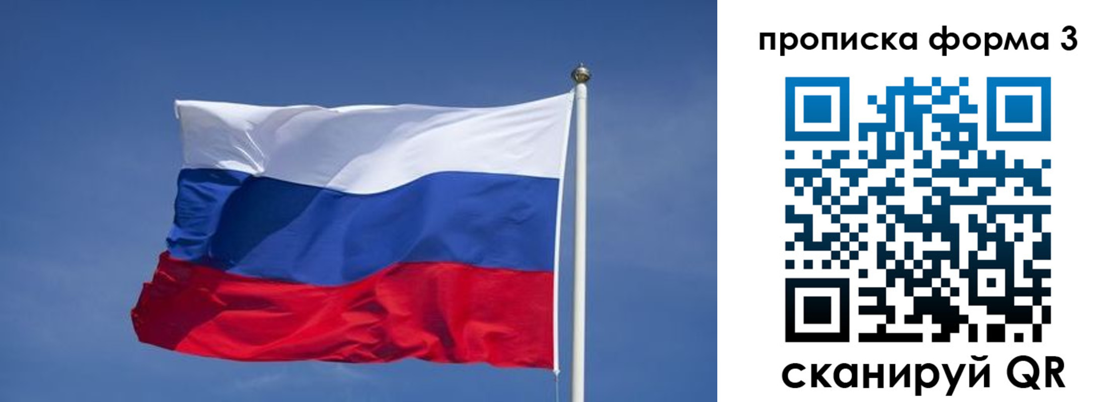 прописка 2025 в Кольчугино